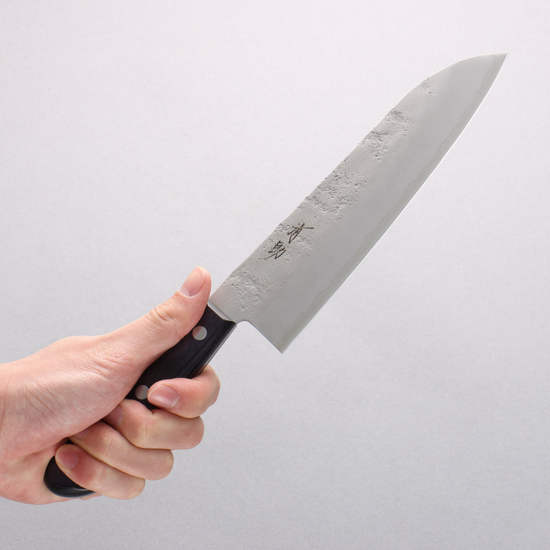 Seisuke Budou Acier argenté NO.3 Nashiji Santoku 180mm Bois de Pakka Purple Manipuler - japanny-FR