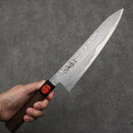 Shigeki Tanaka Harukaze SG2 Damas Gyuto 240mm Manipuler Noix - japanny-FR