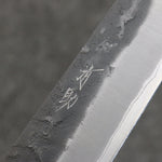 Seisuke Super Bleu Nashiji Noir Sujihiki 270mm Manipuler Palissandre (férule:Bois de Pakka blanc) - japanny-FR