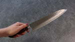 Seisuke Acier suédois Martelé Gyuto  210mm Acajou Manipuler - japanny-FR