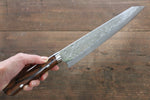 Takeshi Saji SRS13 Martelé Damas Kiritsuke  270mm Ironwood Manipuler - japanny-FR