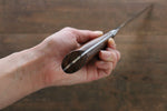 Takeshi Saji SRS13 Martelé Damas Kiritsuke  270mm Ironwood Manipuler - japanny-FR