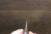 Takeshi Saji SRS13 Martelé Damas Kiritsuke  270mm Ironwood Manipuler - japanny-FR