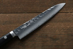 Seisuke VG1 Ensemble Santoku et Petty japonais  mm Bois de Pakka Manipuler - japanny-FR