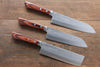 Kunihira VG1 Hammered Japanese Gyuto,Santoku & Usuba Chef Knife Set - japanny-FR