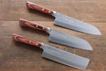 Kunihira VG1 Hammered Japanese Gyuto,Santoku & Usuba Chef Knife Set - japanny-FR