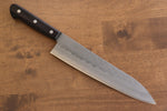 Seisuke Budou Acier argenté NO.3 Nashiji Gyuto  210mm Bois de Pakka Purple Manipuler - japanny-FR