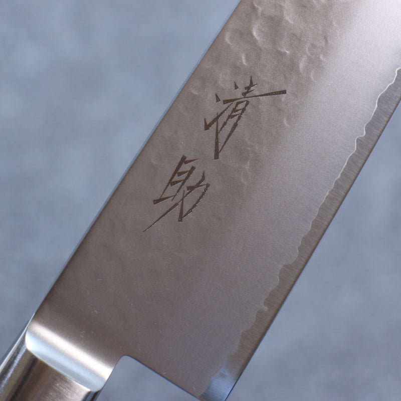 Seisuke VG5 Martelé Kasumitogi Gyuto  240mm Bois de pakka noir Manipuler - japanny-FR