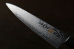 Iseya VG10 G-Series 33 Layer Damascus Japanese Chef's Petty 150mm, Santoku 180mm& Gyuto 210mm Set - japanny-FR