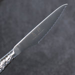 Ryujin Acier Inoxydable Ensemble couteau à steak et fourchette - japanny-FR