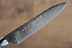 Yu Kurosaki R2/SG2 Damas couteau à steak  120mm Turquoise Manipuler - japanny-FR