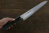 Sakai Takayuki 45 Couche de Damas Martelé Gyuto  240mm Laqué vert Manipuler - japanny-FR