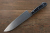 Iseya Couteau en acier au molybdène 150 mm et couteau Santoku 180 mm avec manche en bois Black Packer - japanny-FR