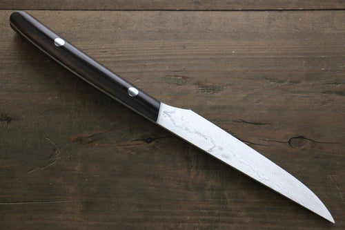 Takeshi Saji R2/SG2 couteau à steak  125mm Cocobolo Manipuler - japanny-FR