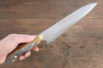 Takeshi Saji Acier Bleu No.2 Damas coloré Gyuto  210mm Os de vache marron Manipuler - japanny-FR