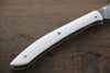 Takeshi Saji R2/SG2 Damas noir couteau à steak pliant  100mm Micarta blanc Manipuler - japanny-FR